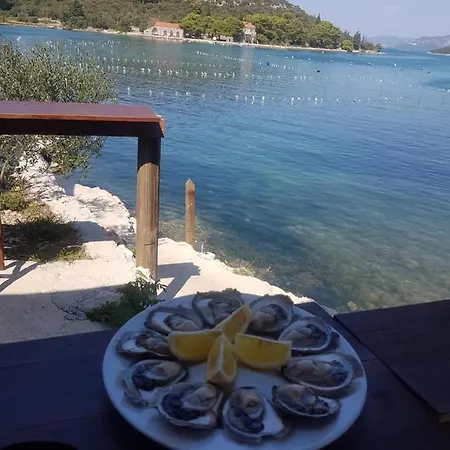 公寓 Domus Nostrae - Peljesac 2 *